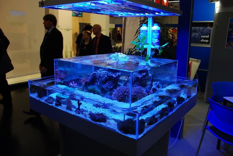 A középső magasabb akvárium oldaláról folyik az alsóba a víz.